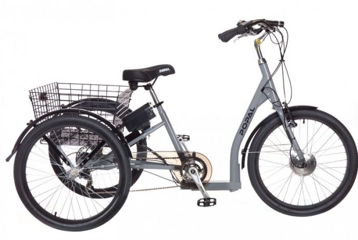 Popal Elektrische driewieler E-bike 24 inch Grijs