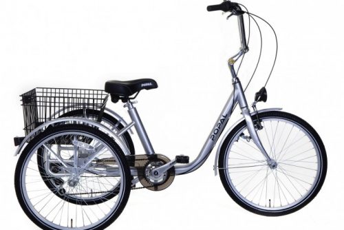 Popal Volwassenen Driewieler Fiets Zilver 24 inch