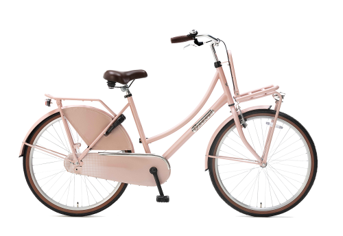 Popal Daily Dutch Basic 26 inch Transportfietsfiets Zalm