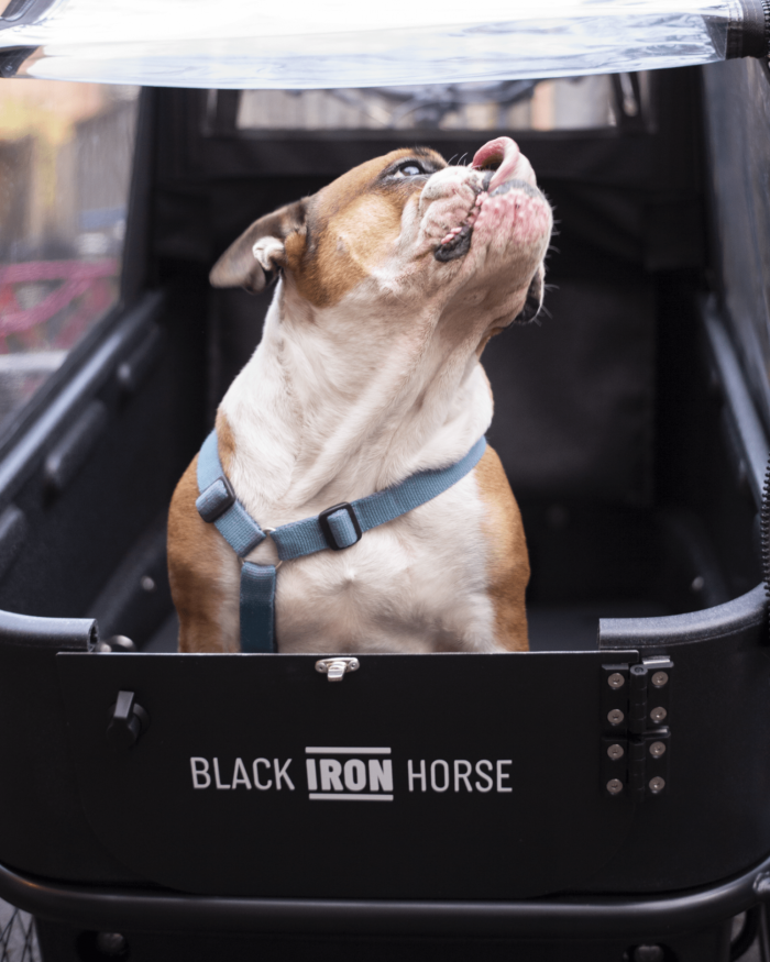 Black Iron Horse PONY 2 Dog Elektrische bakfiets