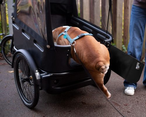 Black Iron Horse PONY 2 Dog Elektrische bakfiets 1008586-7-1500x1200