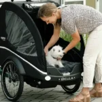 Winther Kangeroo Bakfiets voor met hond