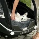 Bakfiets voor met hond fietsen kangaroo dog4