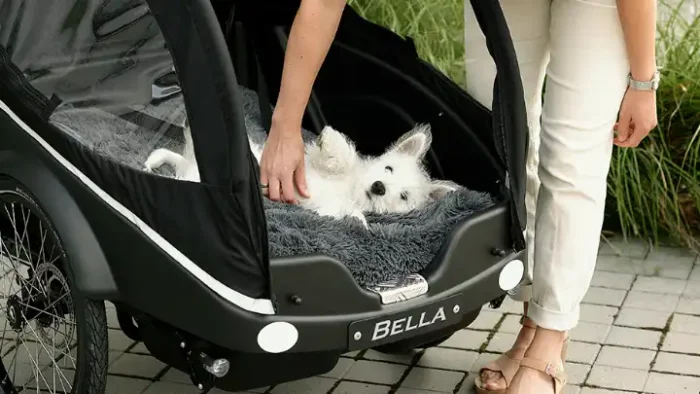 Bakfiets voor met hond fietsen kangaroo dog4