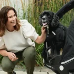 Elektrische bakfiets voor met hond fietsen Cargo bike with dog