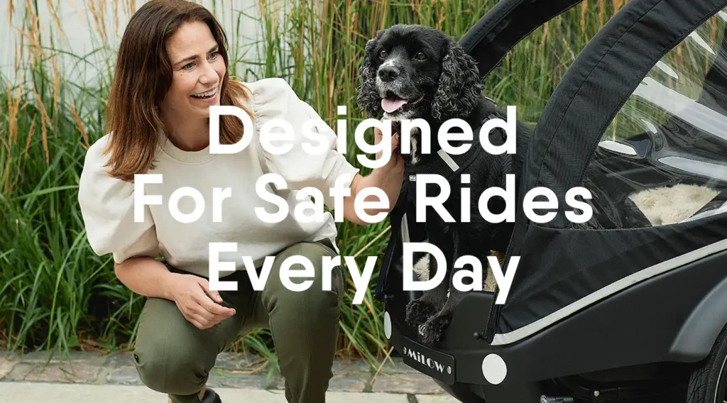 kangaroo dog_safe_rides everyday