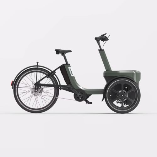 Thuja Van Raam Shopperfiets Driewieler met ondersteuning Thuja Green