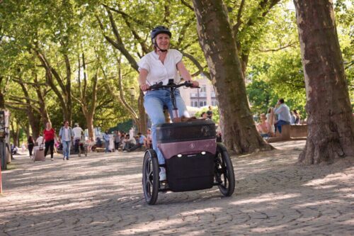 Thuja Van Raam Driewieler Shopperfiets met ondersteuning Dusty Taupe