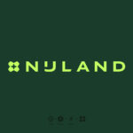 Nijland Singely Air Suelo Lage instap fiets elektrische lage instap fiets